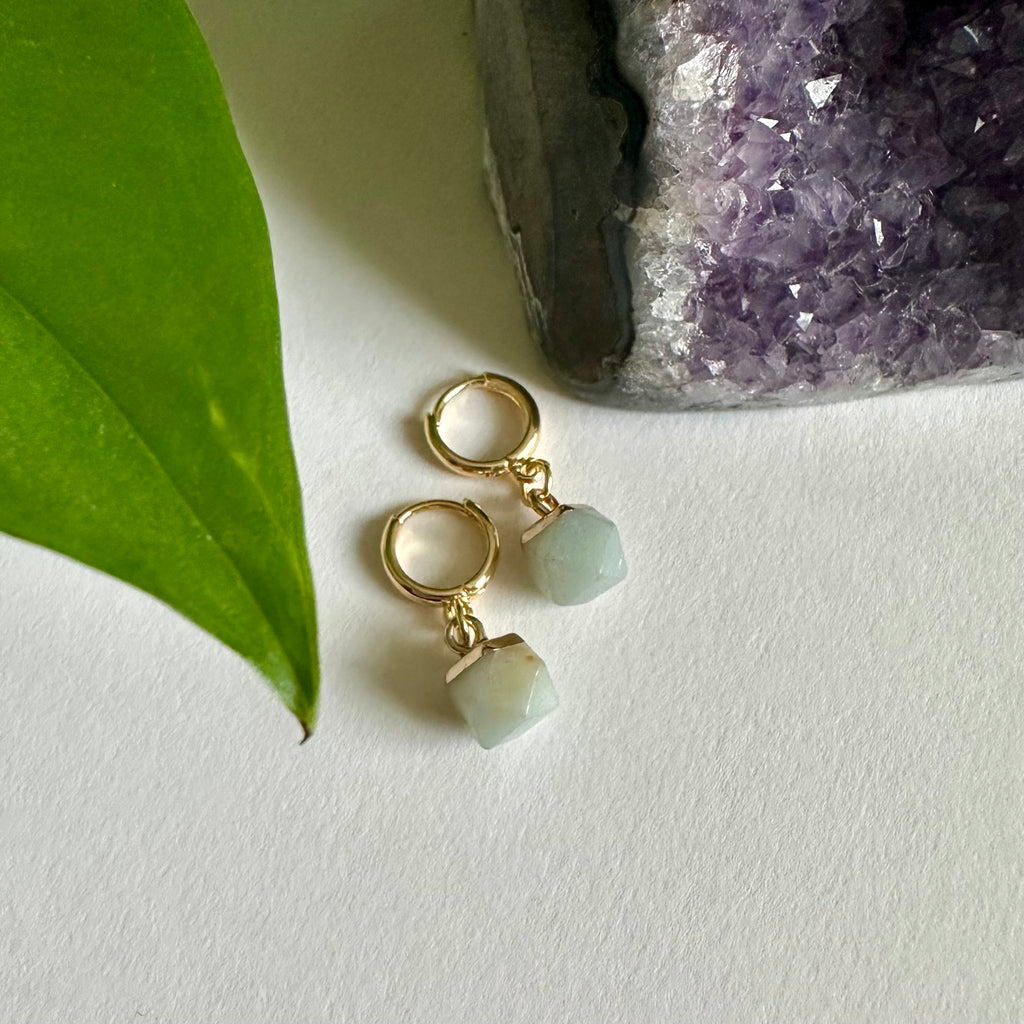 Amazonite Prosperity Earrings