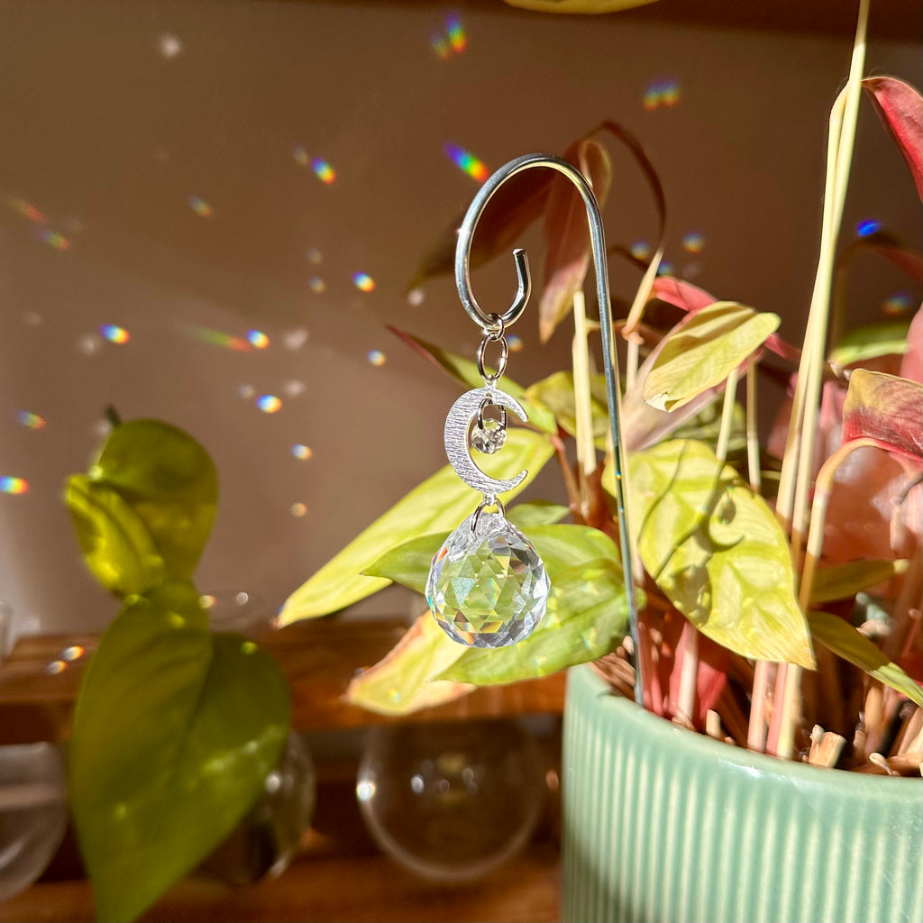 Moon Plant Suncatcher