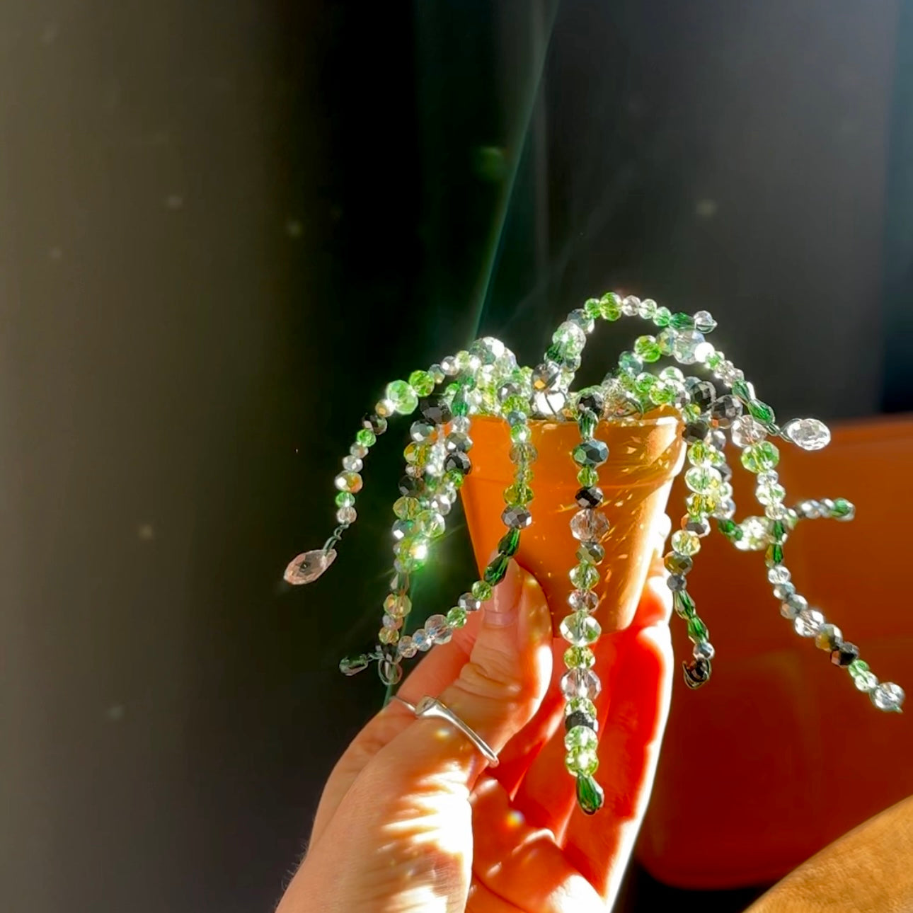Forever Plant PRE ORDER