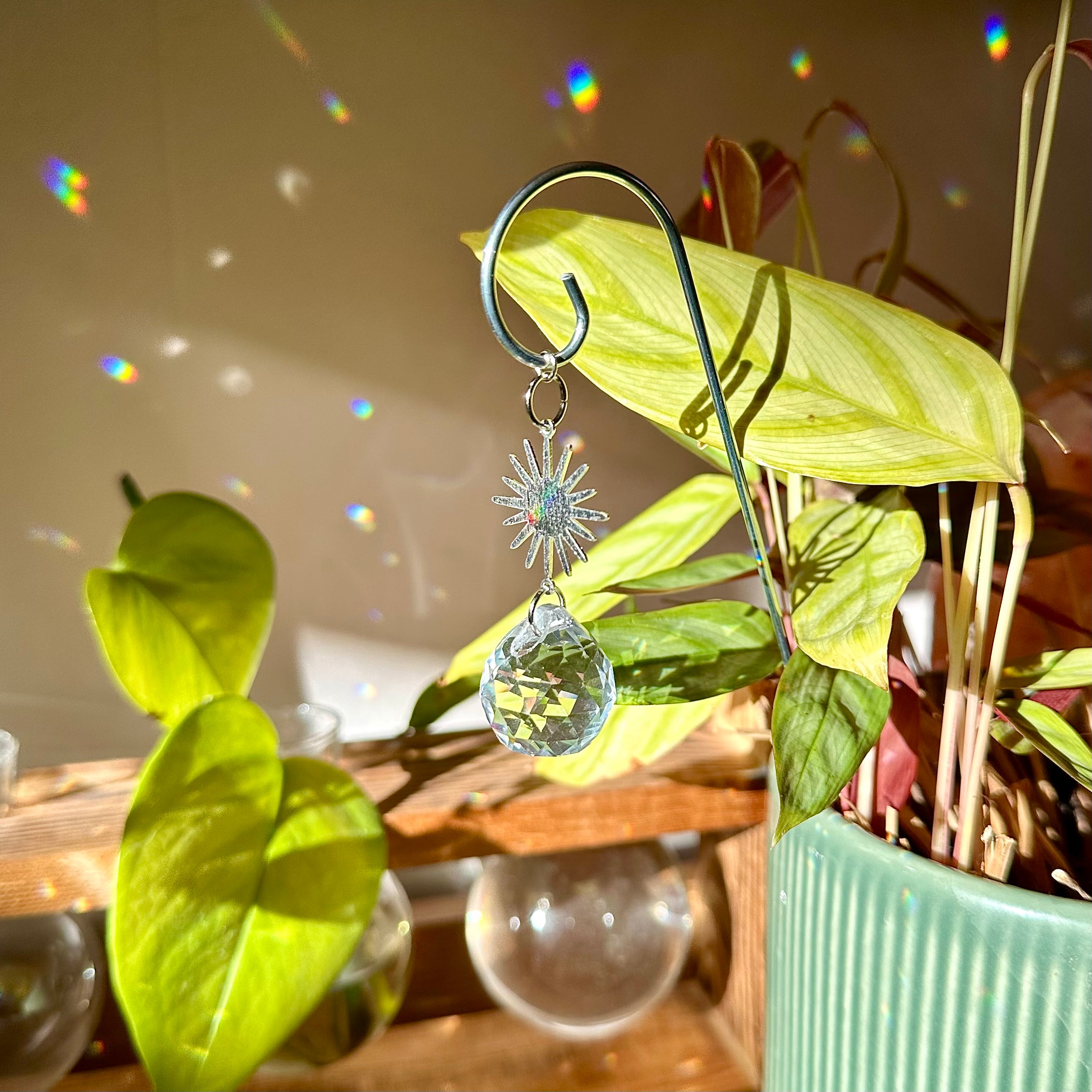 Sun Plant Suncatcher