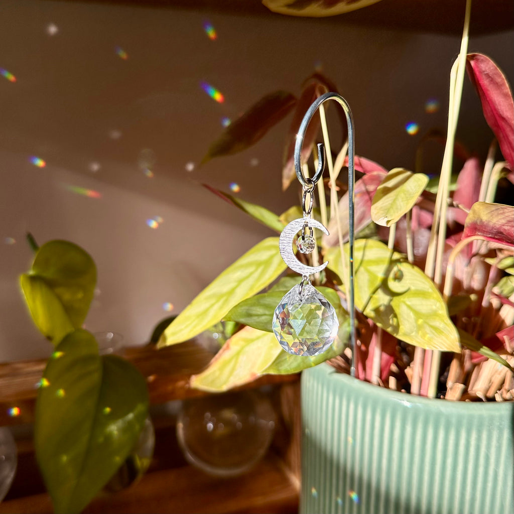 Moon Plant Suncatcher
