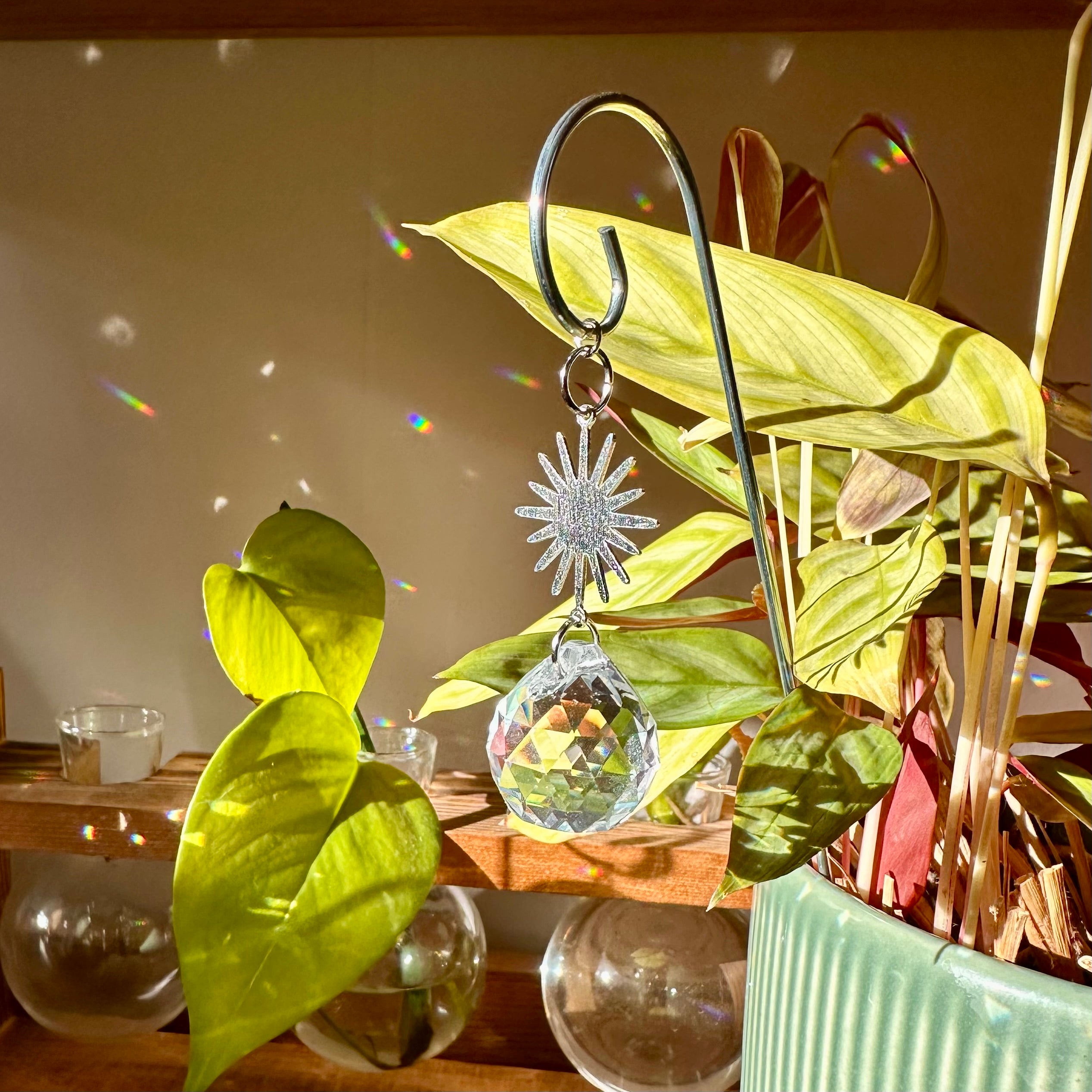 Sun Plant Suncatcher