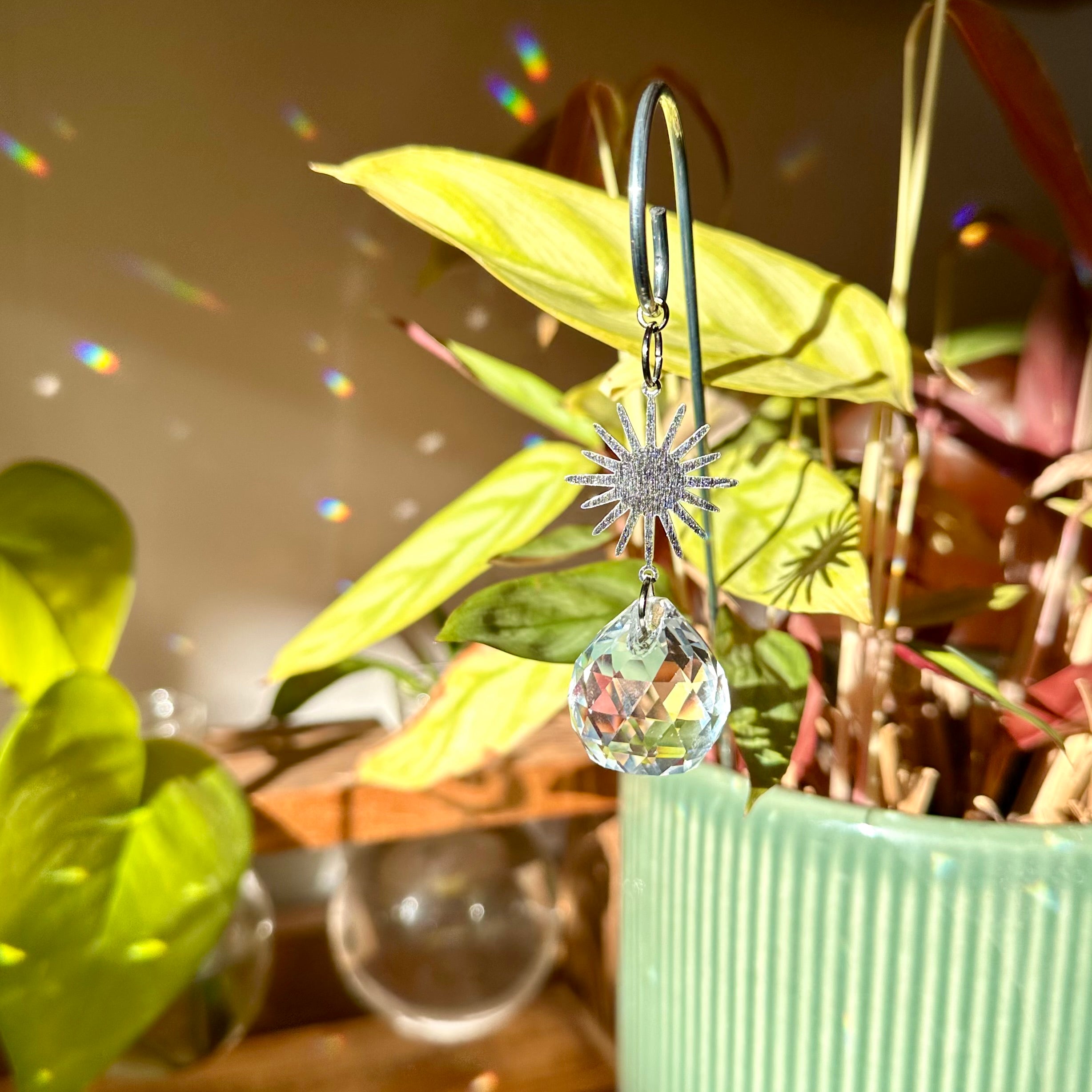 Sun Plant Suncatcher