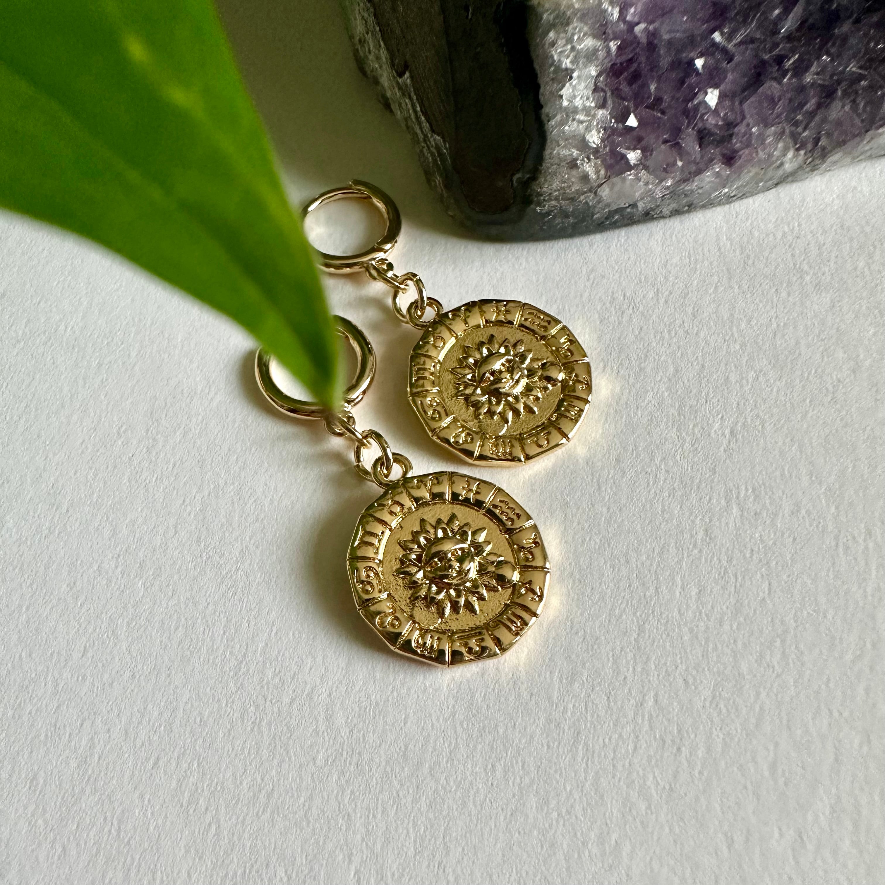 Zodiac Coin Earrings