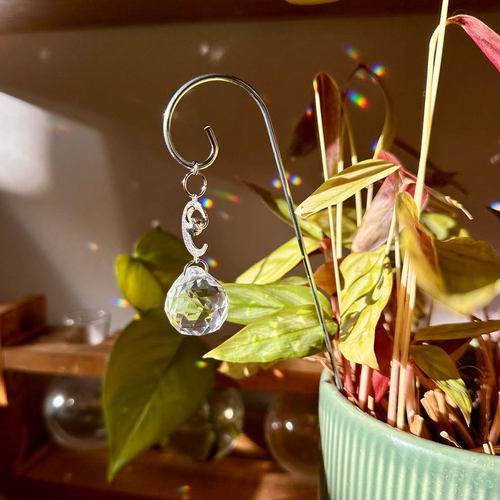 Moon Plant Suncatcher