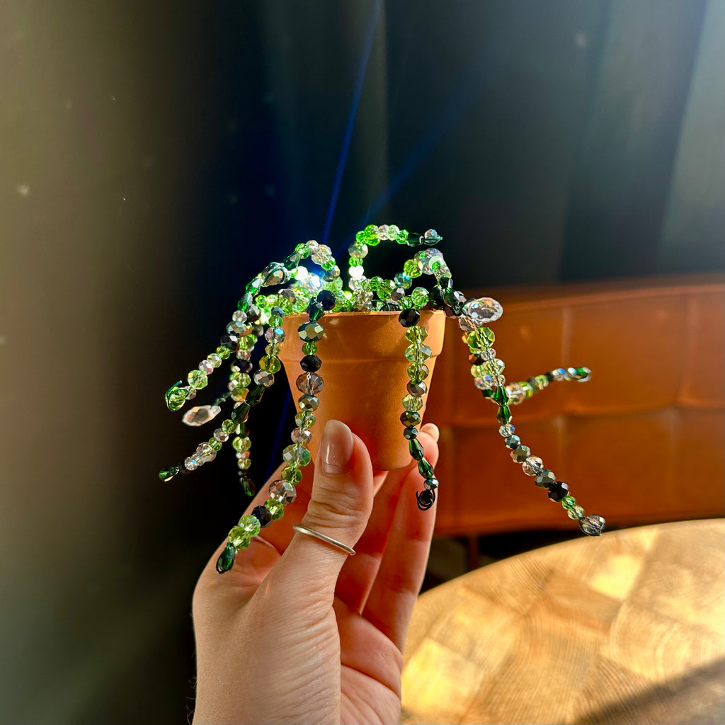 Forever Plant PRE ORDER