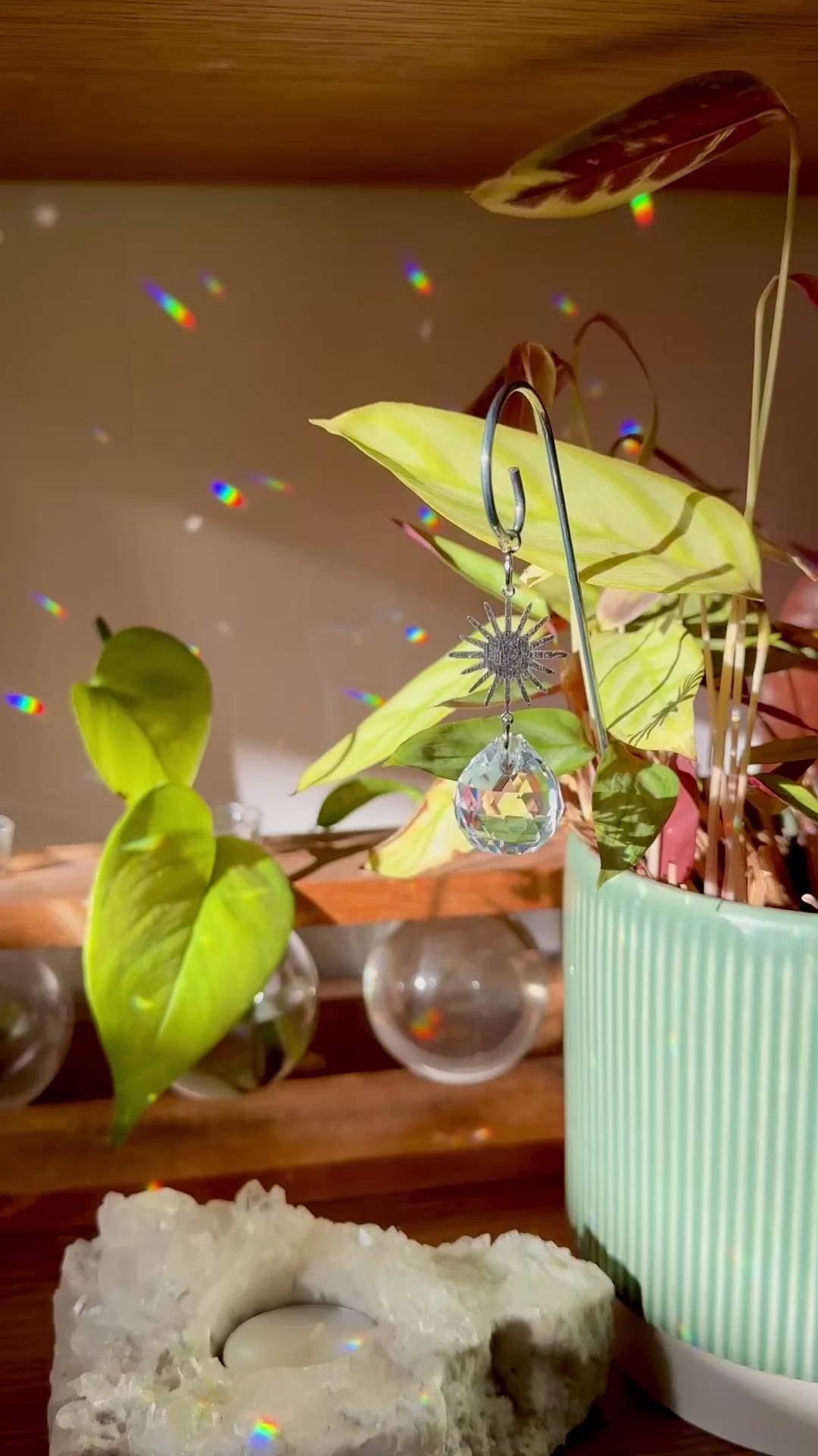 Sun Plant Suncatcher