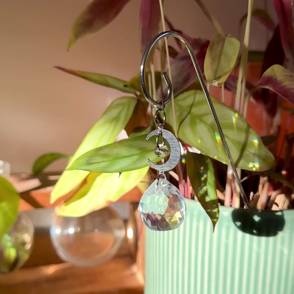 Moon Plant Suncatcher